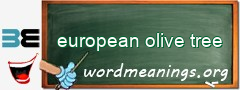 WordMeaning blackboard for european olive tree